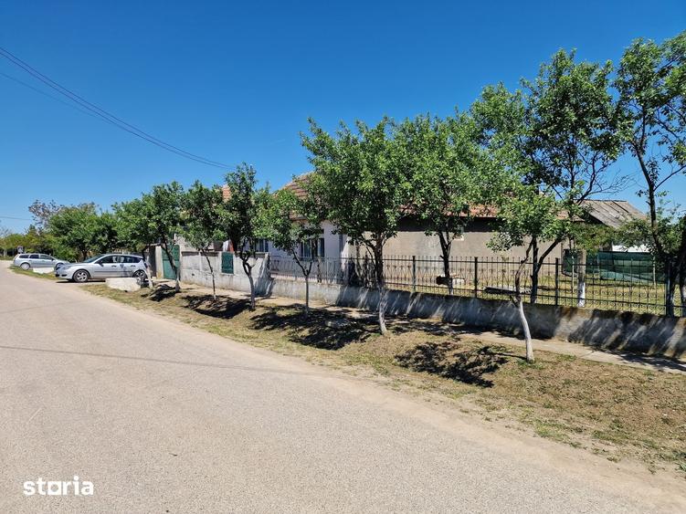 Casă cu 6 camere cu Teren 4780 Mp în Homorog