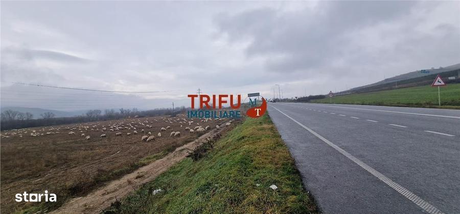 Teren extravilan 6257mp in drumul Clujului - 4