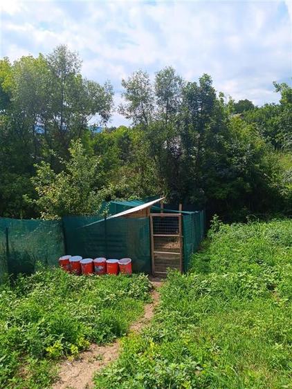 Teren Construcții intravilan de 700 mp, în Ciurbești