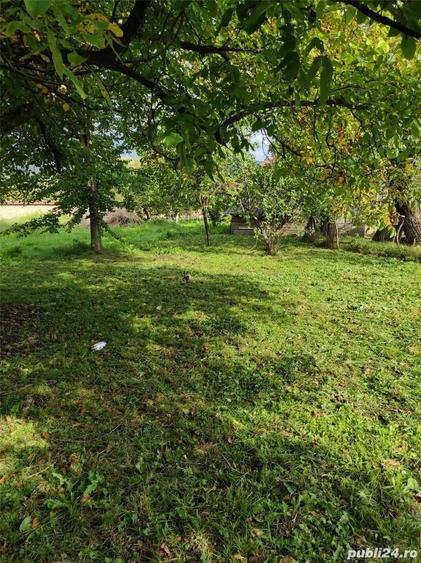 Casă cu 5 camere cu Teren 2500 Mp în Cociuba Mică