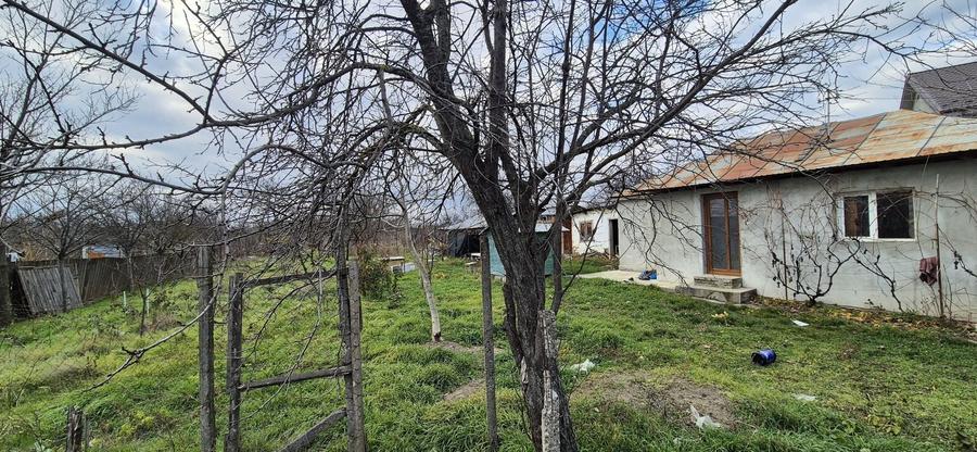 Casă cu 2 camere în Central