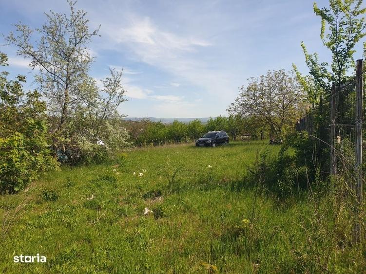Teren intravilan IASI - COPOU - VITICULTORI - in vecinatatea padurii - 20