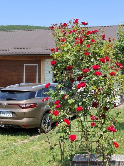 Casă cu 4 camere în Cornești