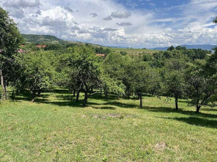 Casă cu 3 camere în Dumbrava