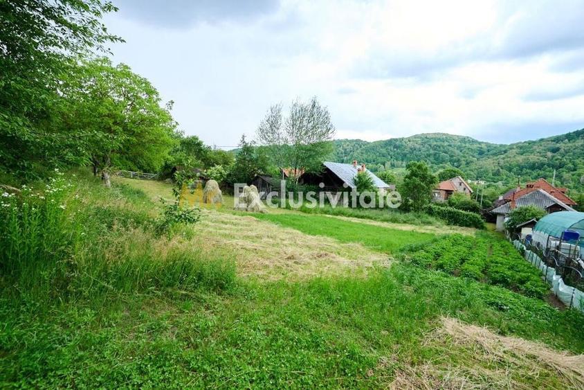 Casă cu 3 camere cu Teren 4696 Mp în Central