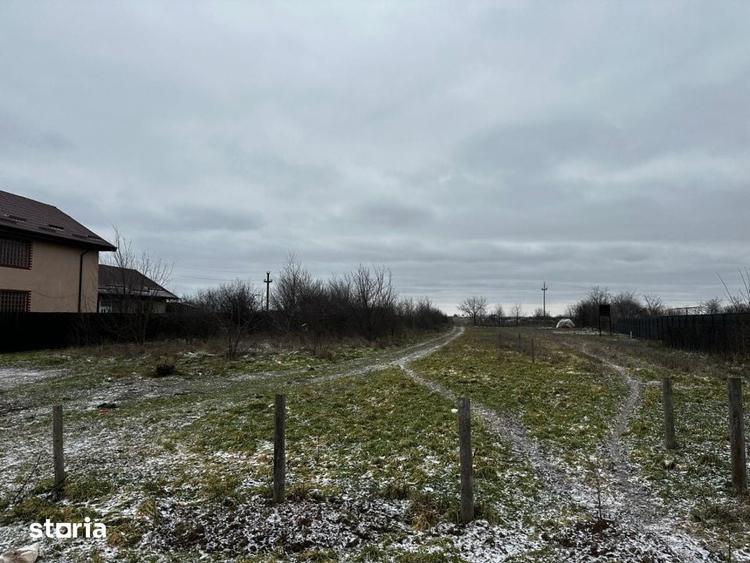 Teren de 10000 mp, în Coșoveni