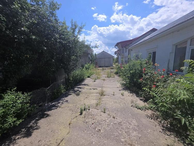 Casă cu 1 camere cu Teren 3900 Mp în Suhaia