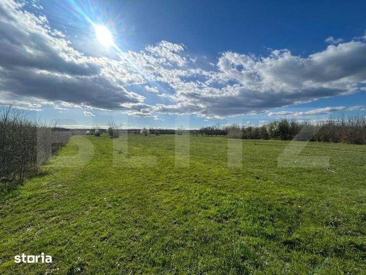 Teren de 2000 mp, în Dragomirești