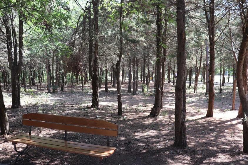 Apartament nedecomandat în Central