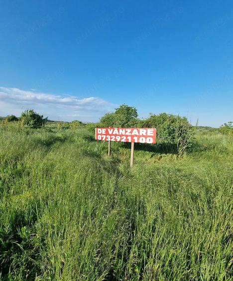 vanzare teren intravilan construibil deschidere mare drum acces si vedere superba rau Colentina - 2