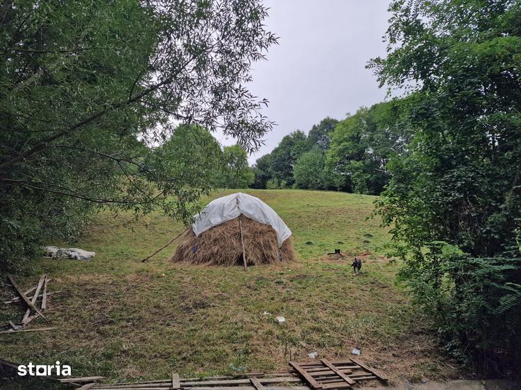 Teren de 2600 mp, în Sud