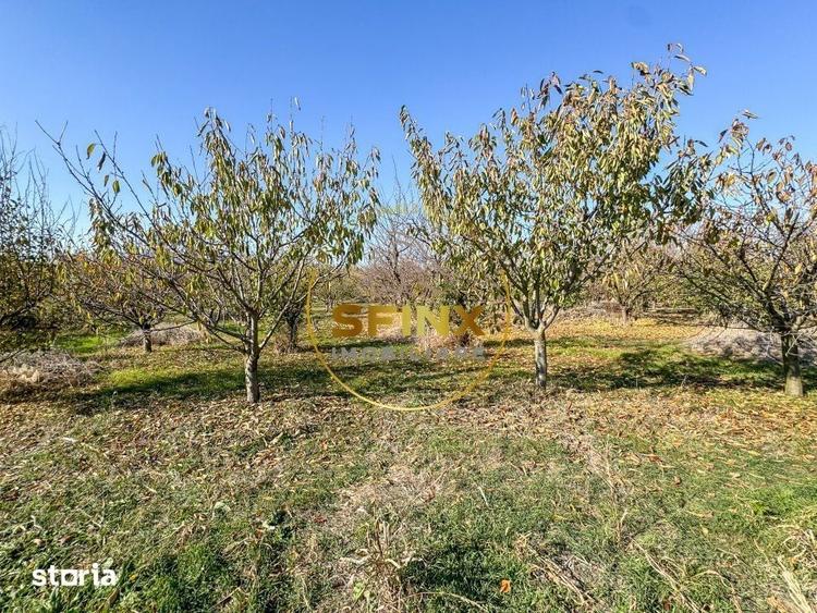 Teren de 29000 mp, în Nicolae Bălcescu