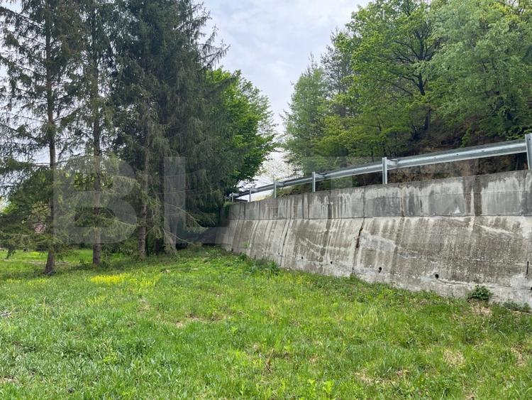Teren Construcții intravilan de 4153 mp, în Sud