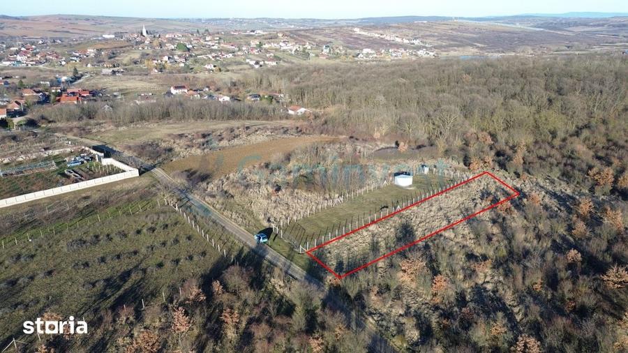 Teren intravilan in apropiere de padure, Paleu, Bihor Gaminvest V4509B - 2