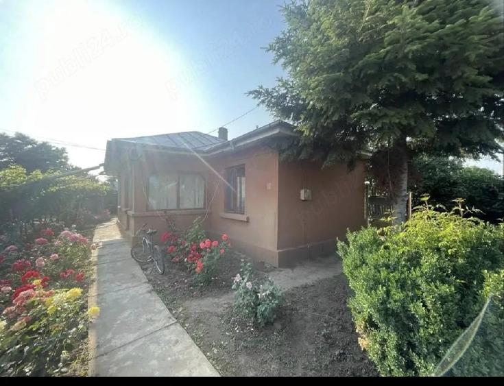 casa de vanzare in stefan voda judetul calara?i - 9