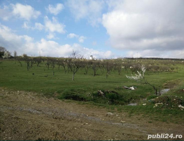 Teren de 19000 mp, în Centura