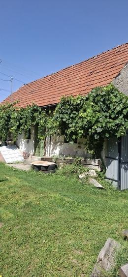Teren de vanzare, - 6