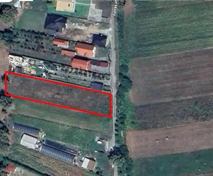 Teren de 1741 mp, în Coltău