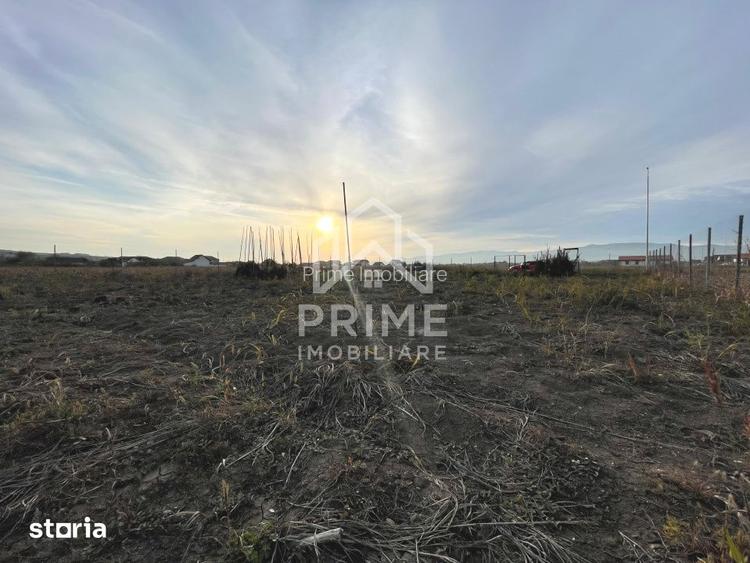 Teren intravilan de vanzare | 800mp | Ciugud