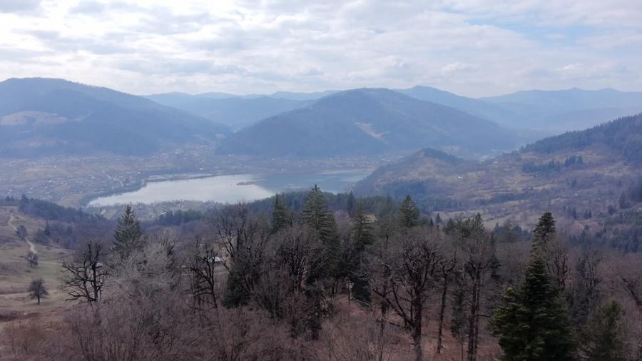 Teren Construcții intravilan de 1751 mp, în Scăricica