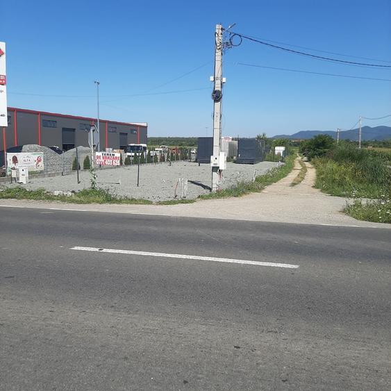 Spațiu comercial, în Săsar