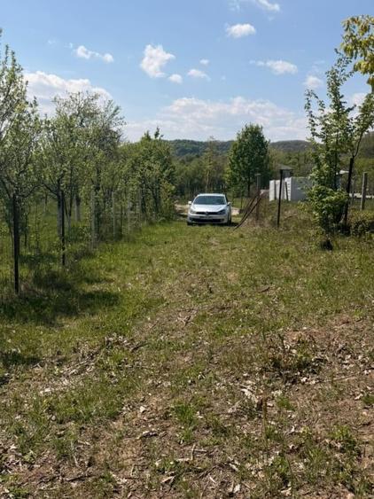 Teren Construcții intravilan de 1400 mp, în Buzești