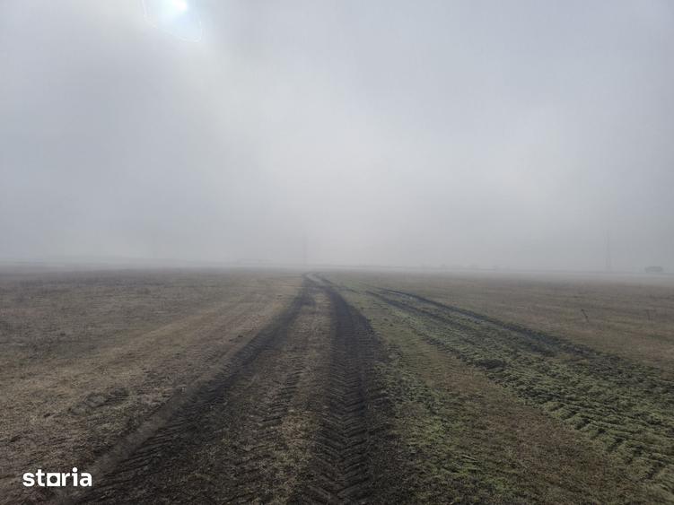 Teren 3.000 mp cu autoriza?ie hala Holboca, Ia?i | Rate - 4