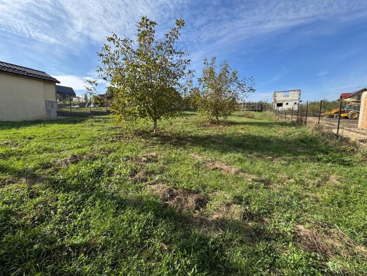Teren Construcții intravilan de 1000 mp, în Câmpenești
