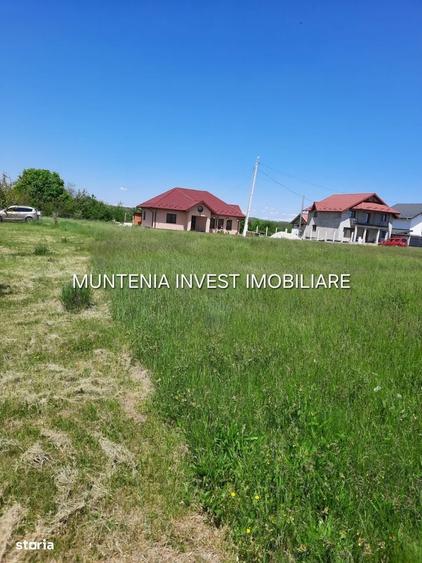 Spațiu comercial, în Albota