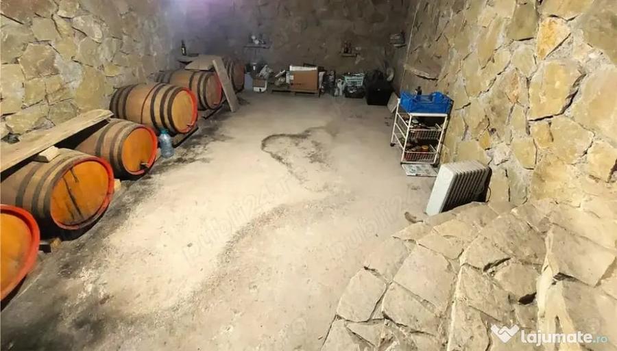 Casă cu 3 camere cu Teren 2000 Mp în Mihail Kogălniceanu