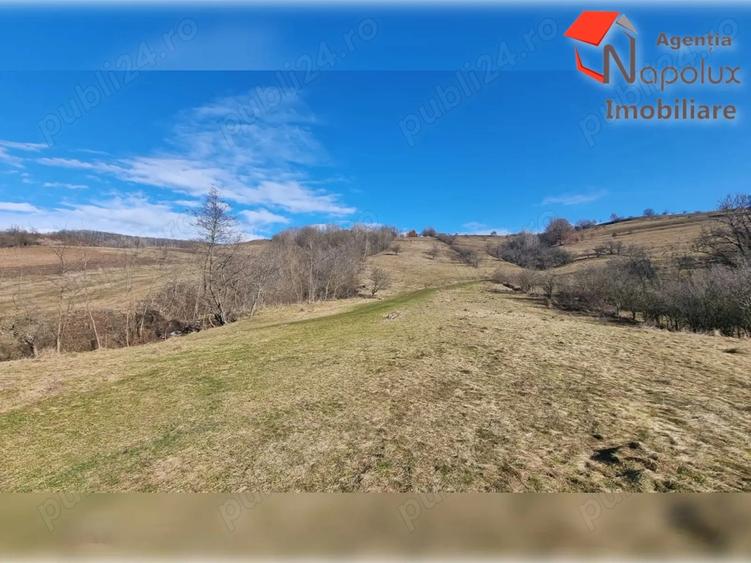 Teren de 31000 mp, în Șardu