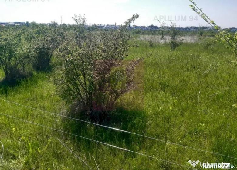 Teren de 29000 mp, în Pantelimon