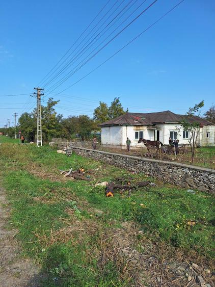 Casă cu 3 camere în Nuntași