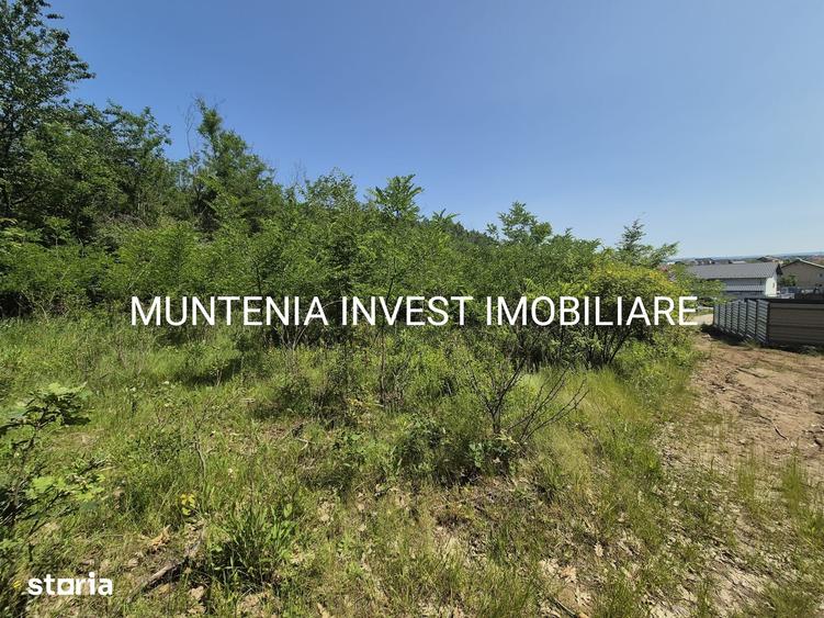 Teren de 1059 mp, în Moșoaia
