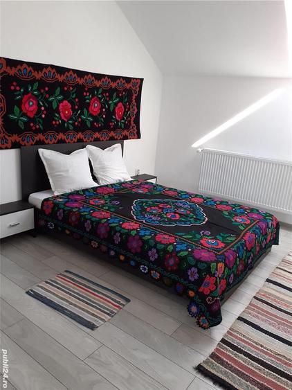 Casă cu 2 camere în Cârțișoara