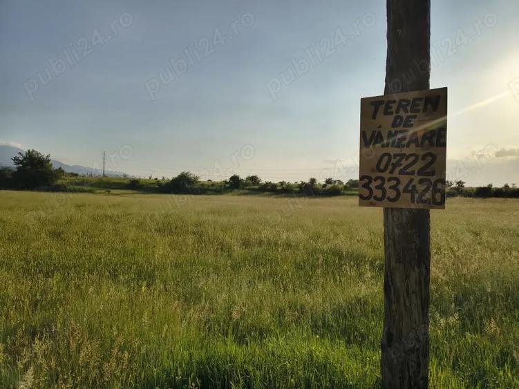 Teren de 1800 mp, în Cârțișoara