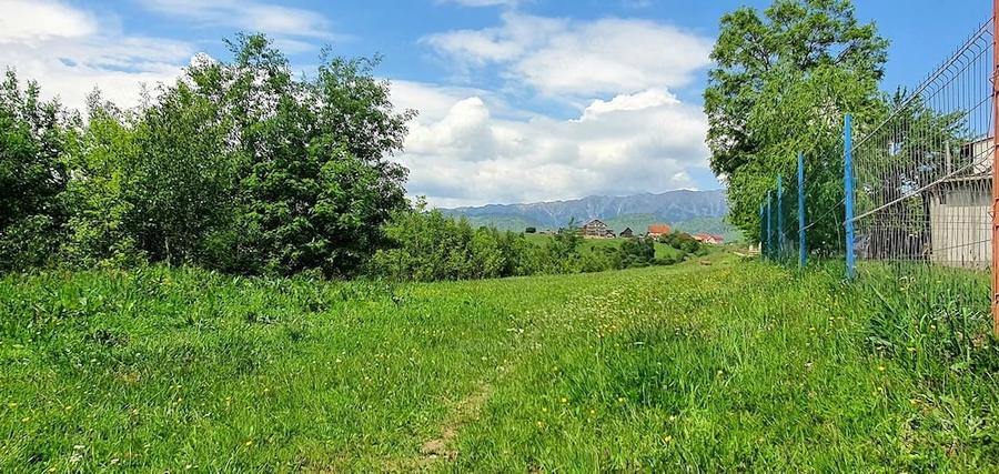 Teren de 2500 mp, în Peștera