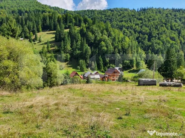 Teren de 3015 mp, în Arieșeni