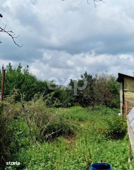 Casă cu 4 camere cu Teren 1600 Mp în Sălcioara