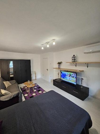 SPRE INCHIRIERE APARTAMENT - 5