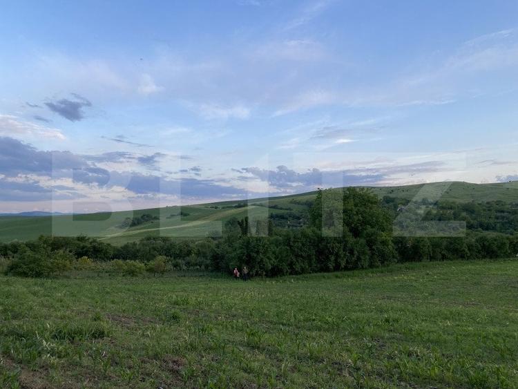 Teren Construcții intravilan de 21450 mp, în Vest