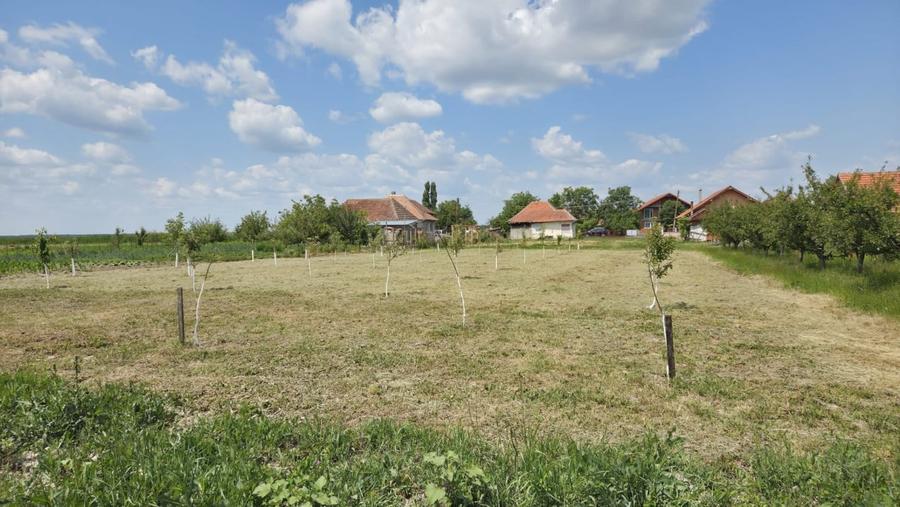 Casă  cu teren de 40 ari în localitatea Gelu - 5