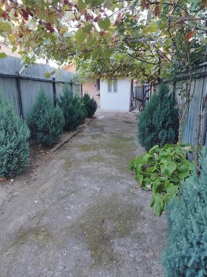 Casă cu Teren 300 Mp în Central