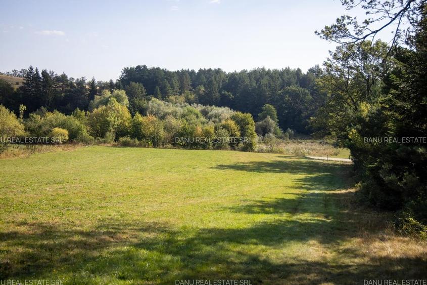 Teren Construcții intravilan de 3300 mp, în Vulcan