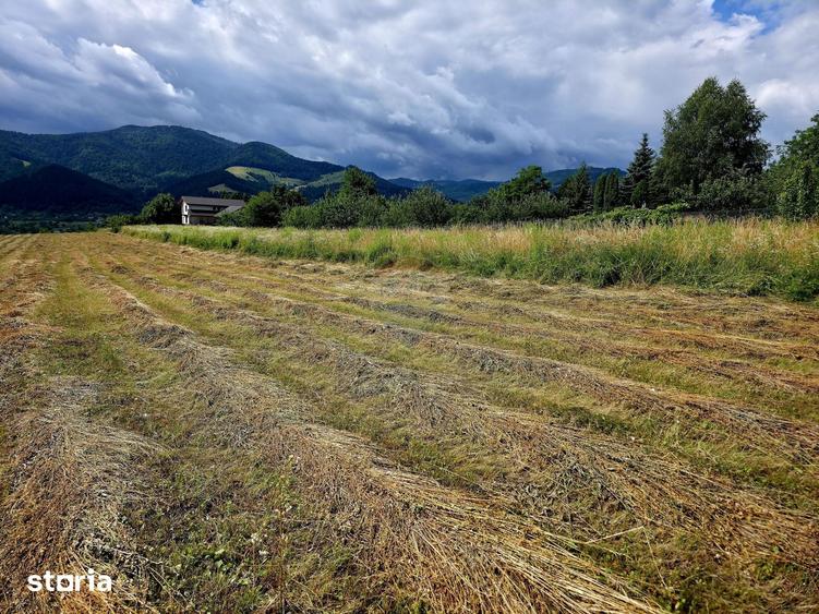 Teren de 600 mp, în Alexandru cel Bun