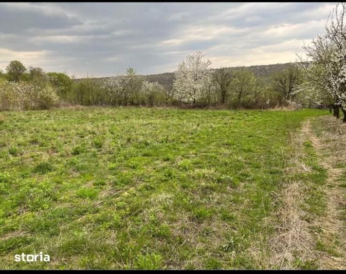 Teren de 4000 mp, în Grajduri