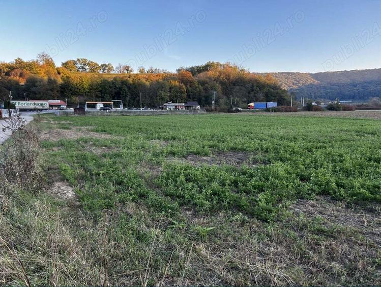 Teren de 5800 mp, în Central