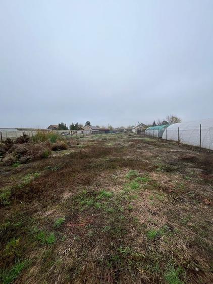 Teren Construcții intravilan de 1308 mp, în Poiana