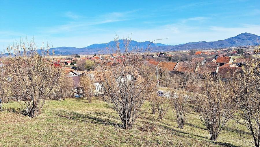 Teren Construcții extravilan de 17000 mp, în Tohanu Nou