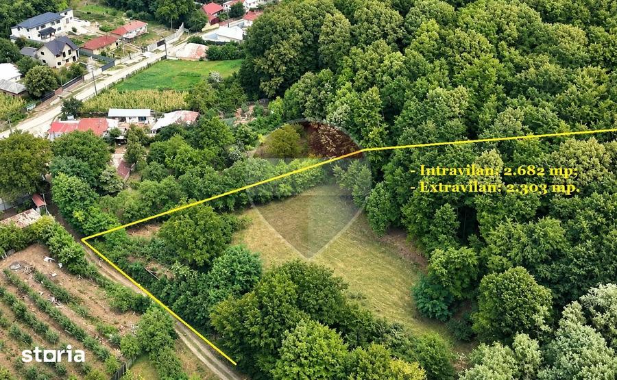 Teren de 4985 mp, în Sascut